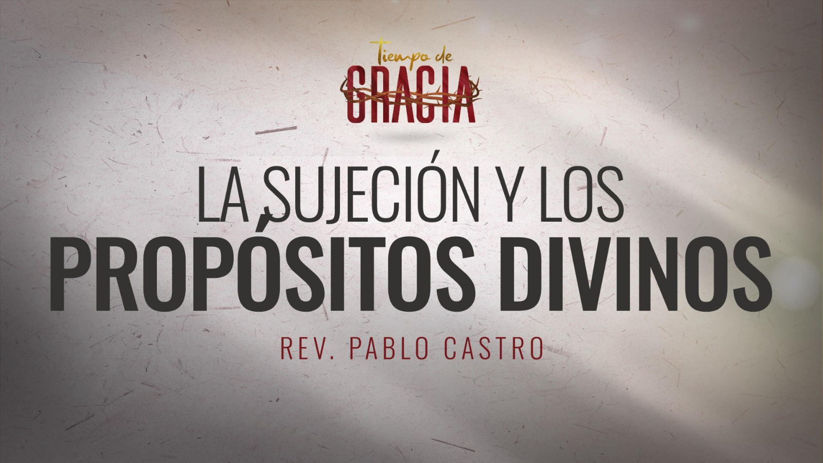 Imagen de WhatsApp 2024-12-10 a las 17.27.53_3b378890