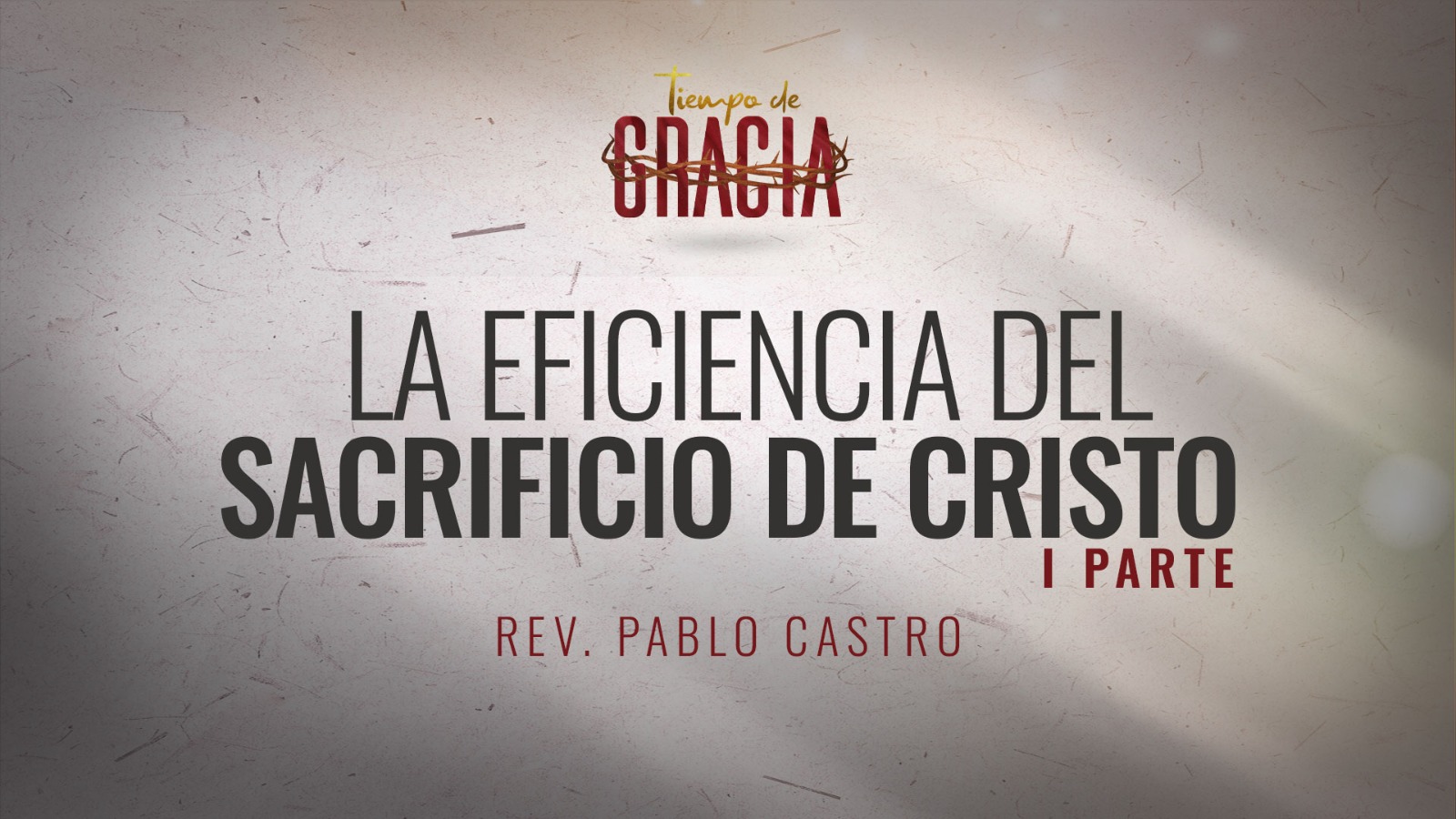 Imagen de WhatsApp 2024-12-10 a las 17.28.08_f4b46b4f